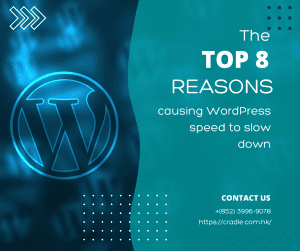 resources - The top 8 reasons causing WordPress speed to slow down