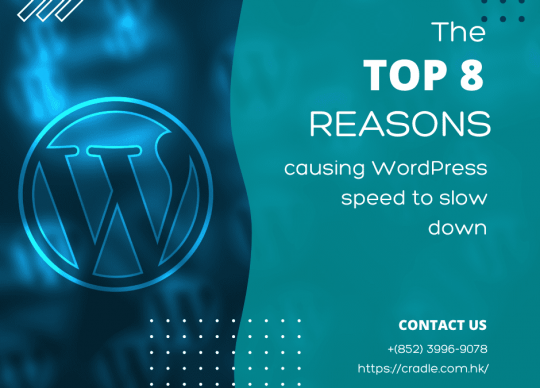 The top 8 reasons causing WordPress speed to slow down